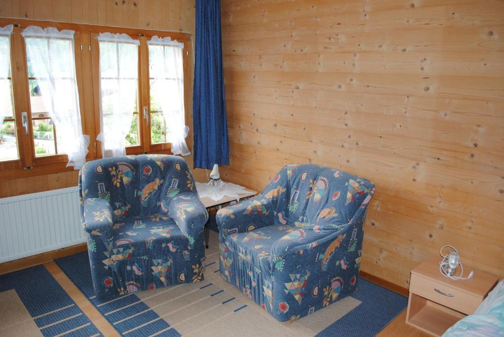 Studio Glaus Apartment Wilderswil Cameră foto