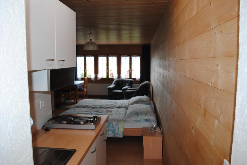 Studio Glaus Apartment Wilderswil Cameră foto