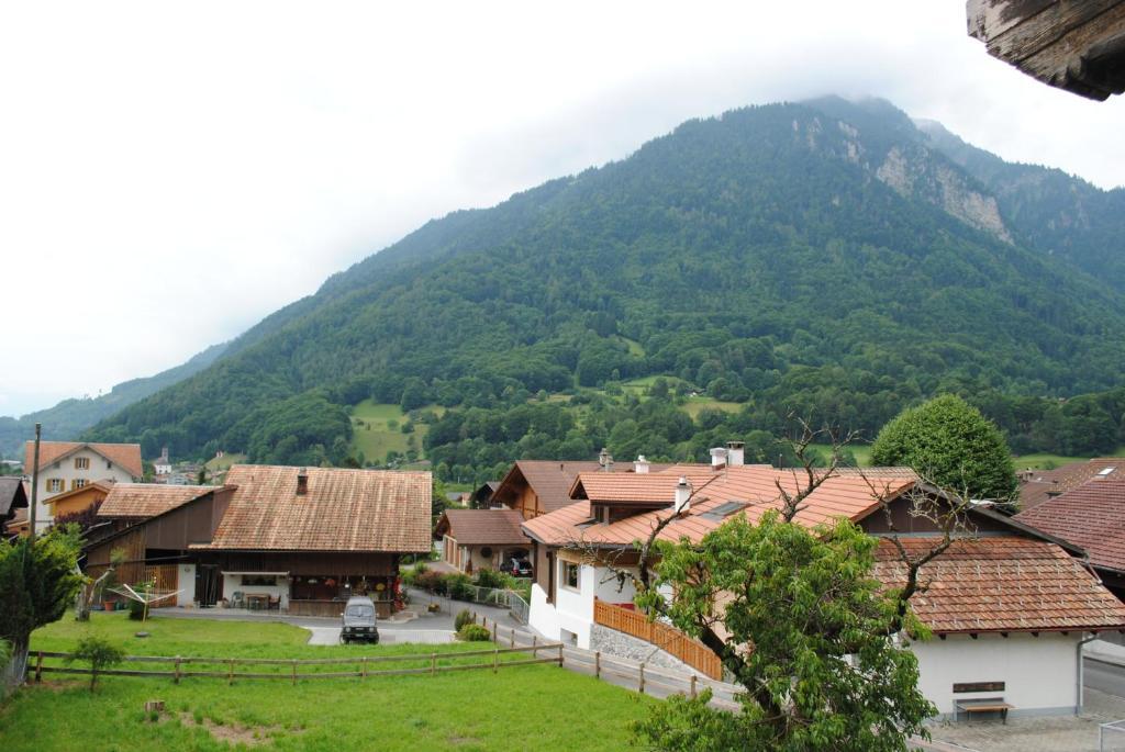 Studio Glaus Apartment Wilderswil Cameră foto