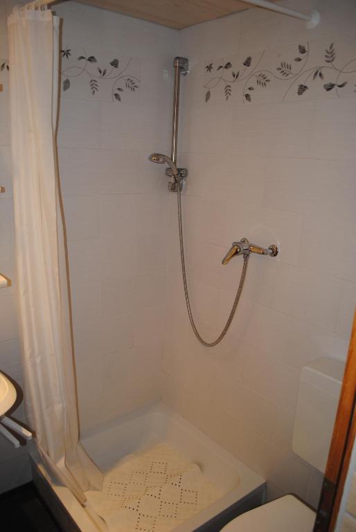 Studio Glaus Apartment Wilderswil Cameră foto