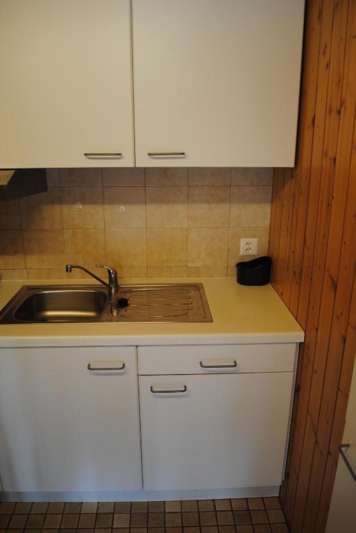 Studio Glaus Apartment Wilderswil Cameră foto